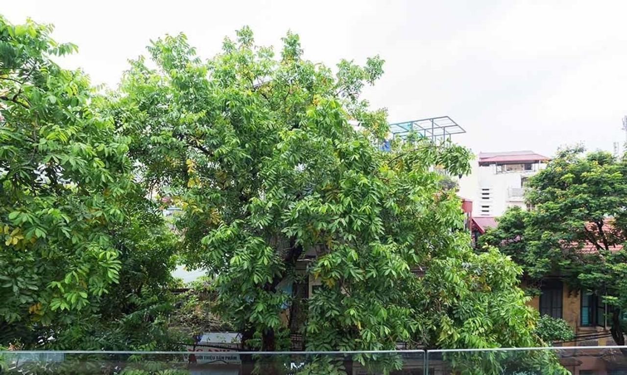 Ali House Apartment Hanoi Luaran gambar