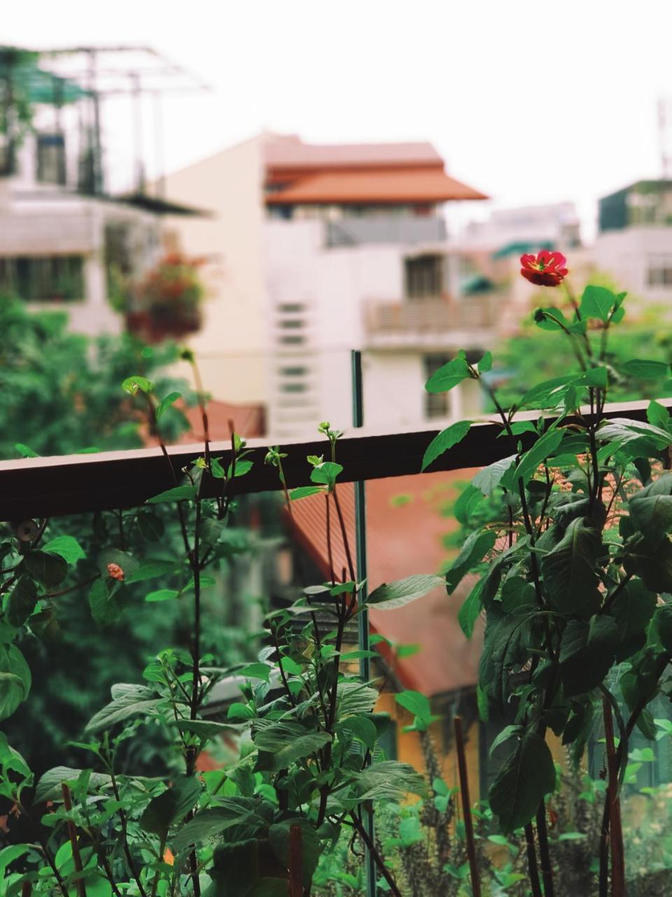 Ali House Apartment Hanoi Luaran gambar